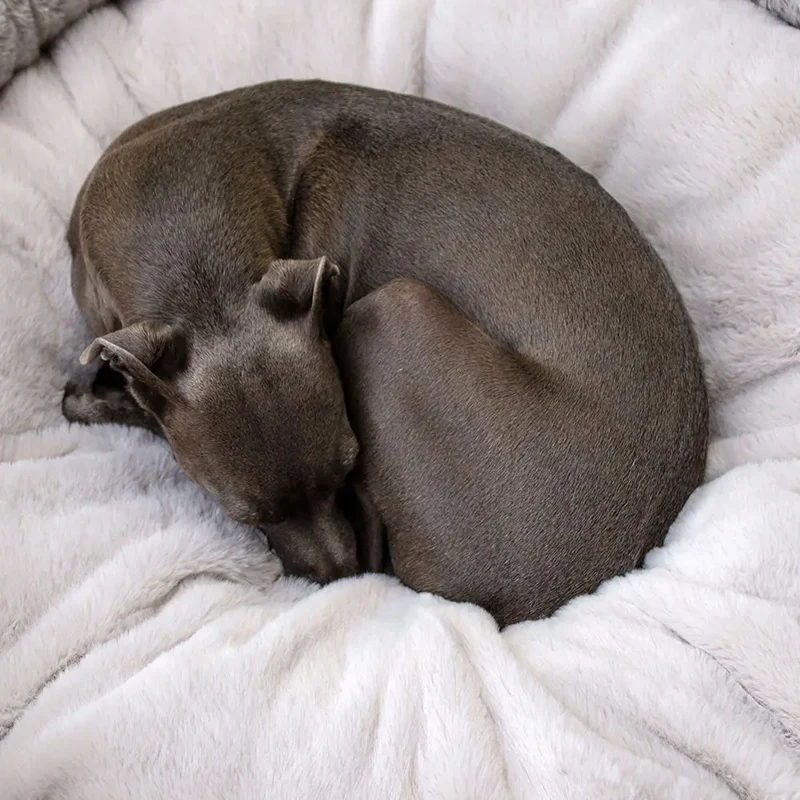 Das flauschige Hundebett „Day Dream“ - taupe