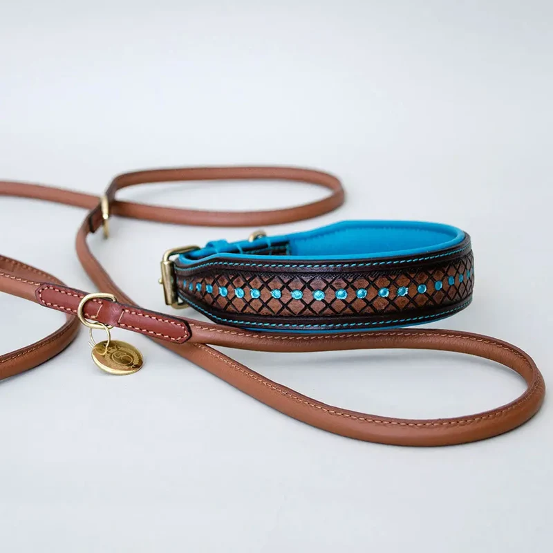Hundehalsband im Westernstyle "Yellowstone"