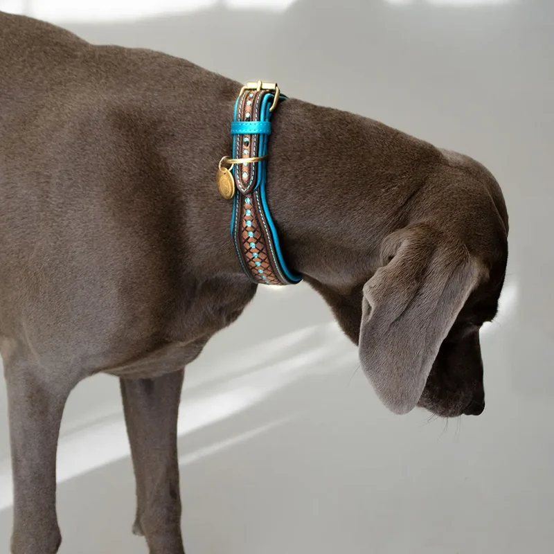 Hundehalsband im Westernstyle "Yellowstone"