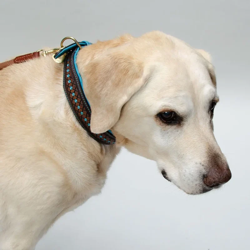 Hundehalsband im Westernstyle "Yellowstone"