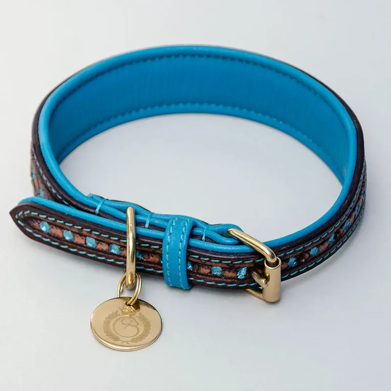 Hundehalsband im Westernstyle "Yellowstone"
