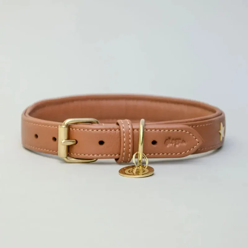 Gepolstertes Lederhalsband "Star of the Day" - Tan
