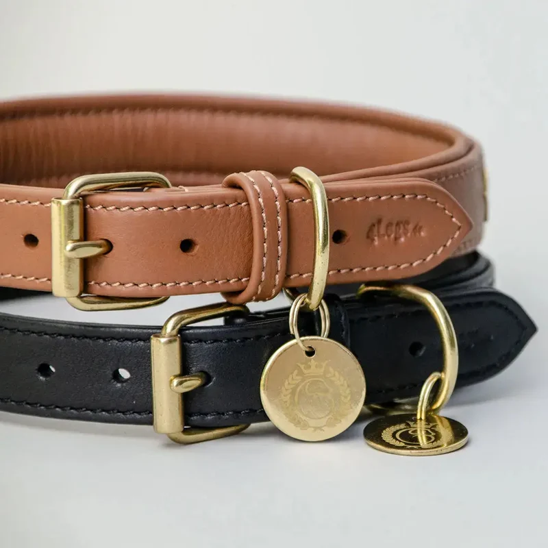 Gepolstertes Lederhalsband "Star of the Day" - Tan