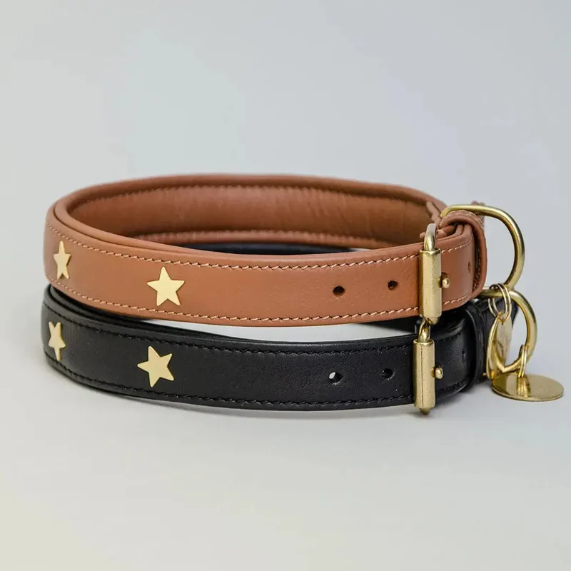Gepolstertes Lederhalsband "Star of the Day" - Tan