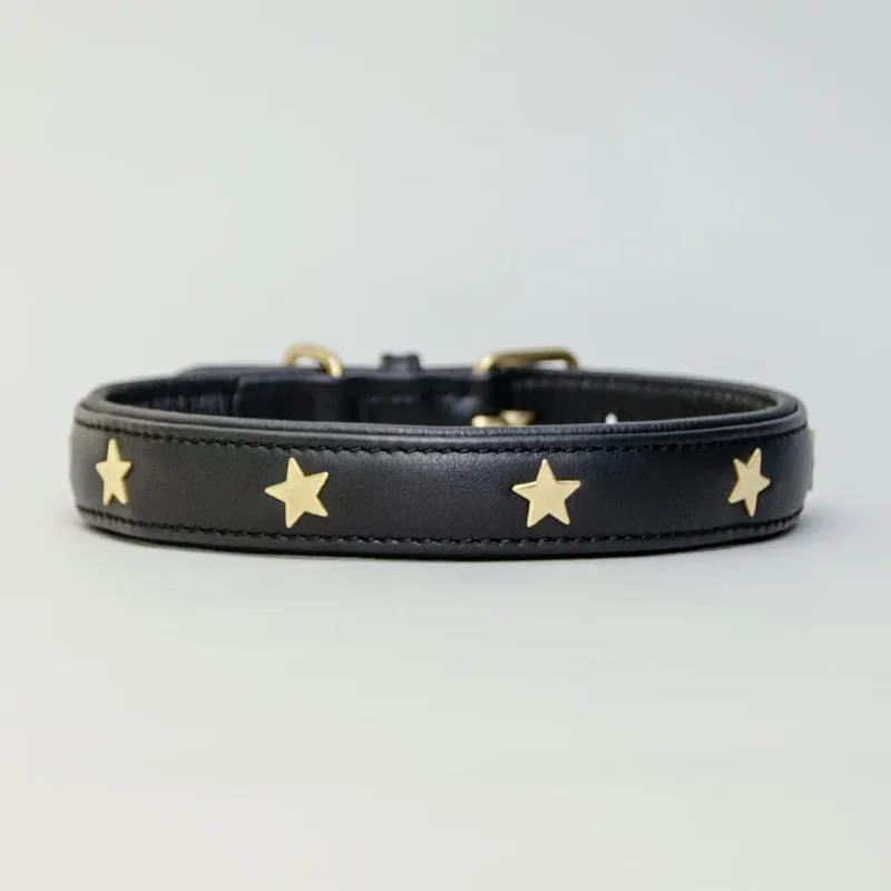 Hundehalsband aus Leder "Star of the Day" - schwarz