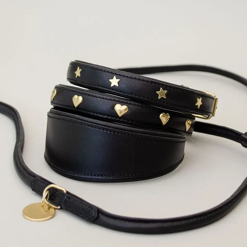 Hundehalsband aus Leder "Star of the Day" - schwarz