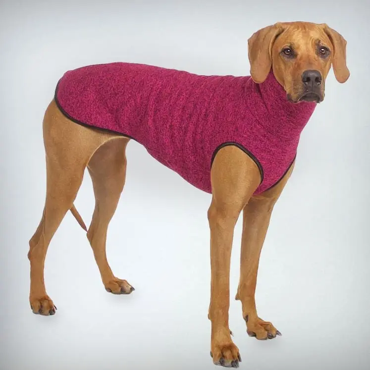 der sportliche Hundejumper - „Hachico JUMPER Vol. 2“ - fuchsia - SDW