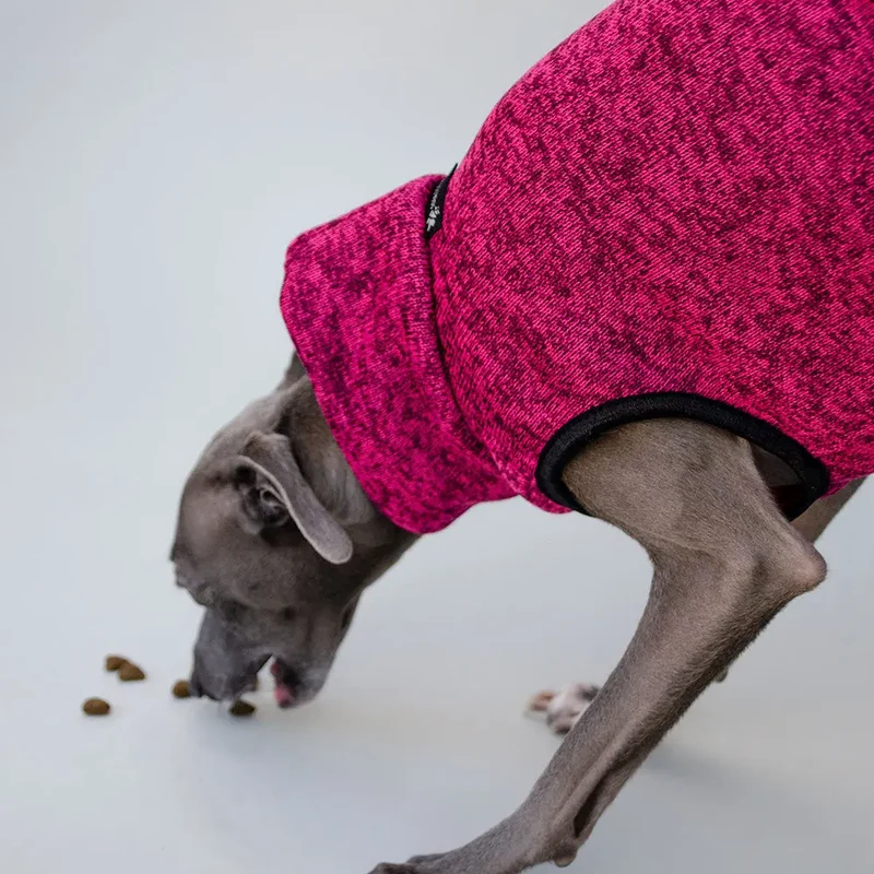 der sportliche Hundejumper - „Hachico JUMPER Vol. 2“ - fuchsia - SDW