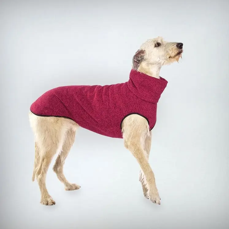 der sportliche Hundejumper - „Hachico JUMPER Vol. 2“ - fuchsia - SDW