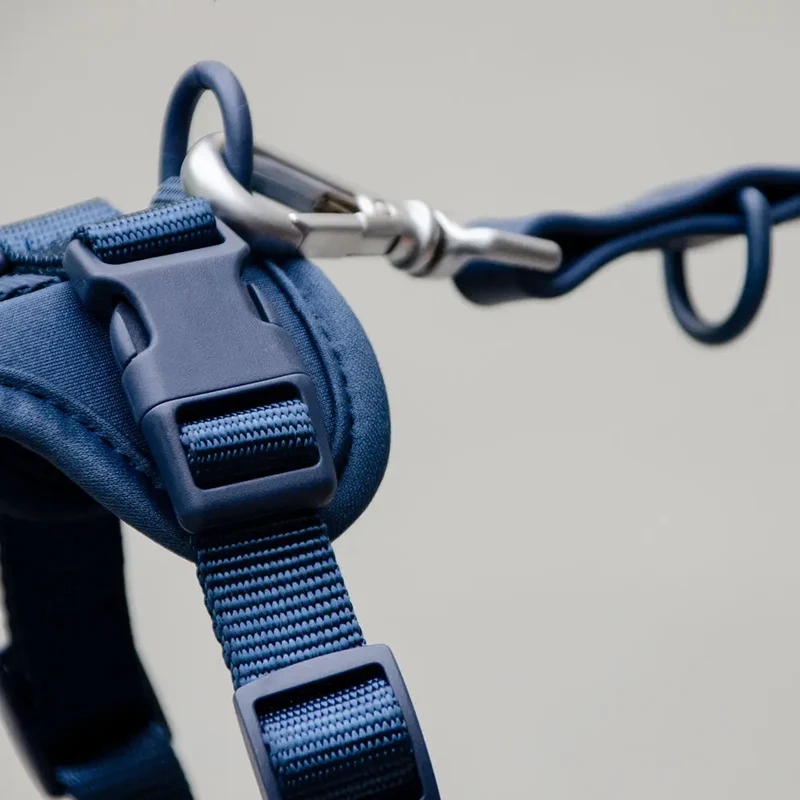 "Soft & Safe" Hundegeschirr - Blue