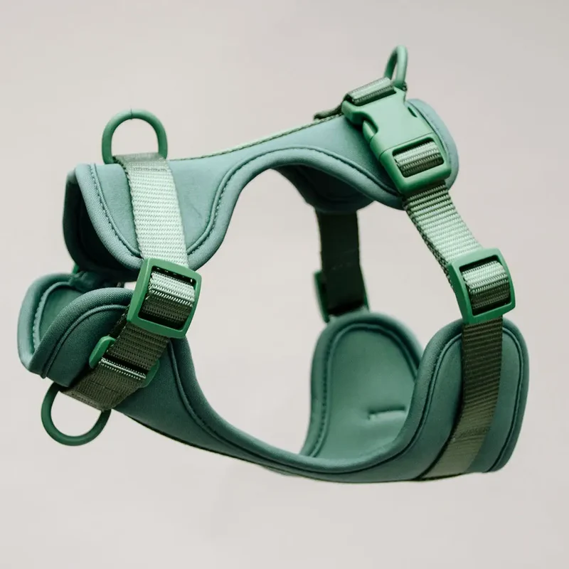 Hundegeschirr - "Soft & Safe" Green