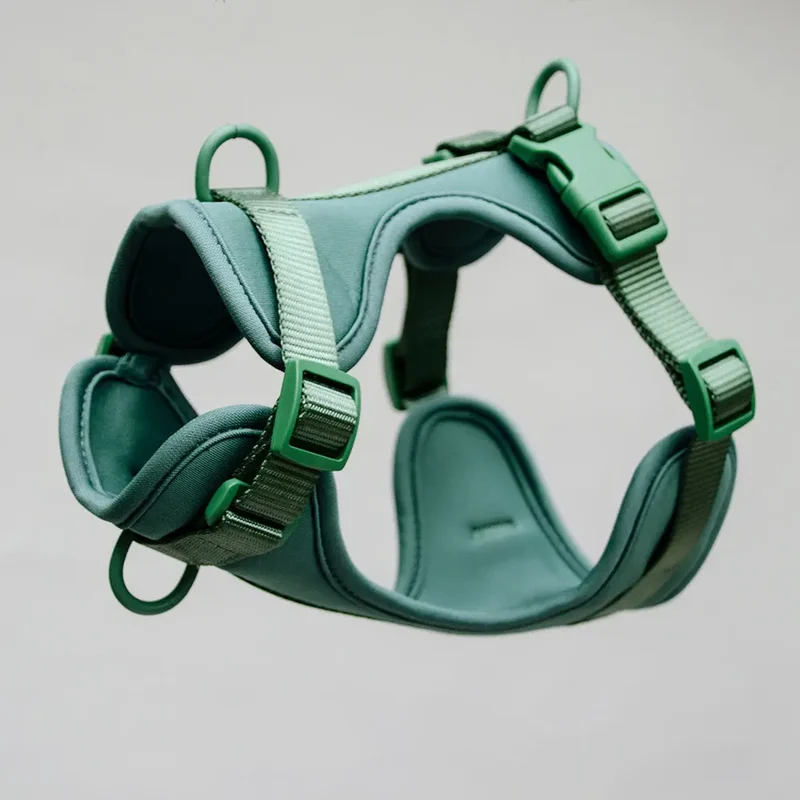 Hundegeschirr - "Soft & Safe" Green