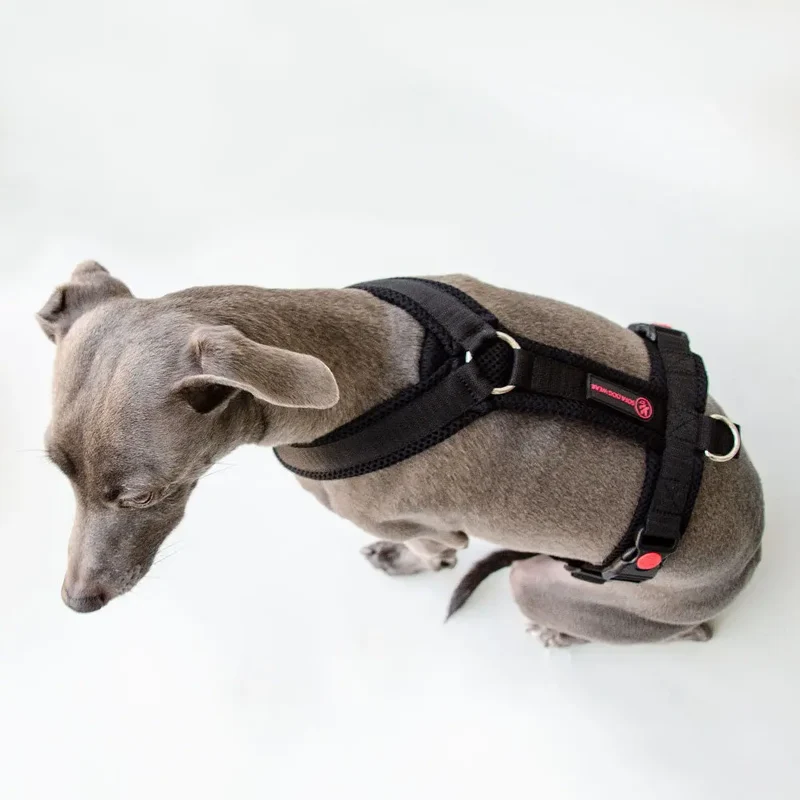 Sofa Dog Wear Sportgeschirr "Little" - black