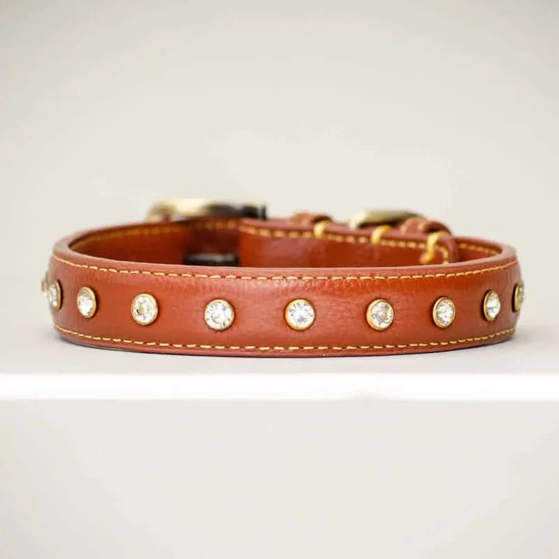 Leder-Hundehalsband "Diamond Petit" - Brown