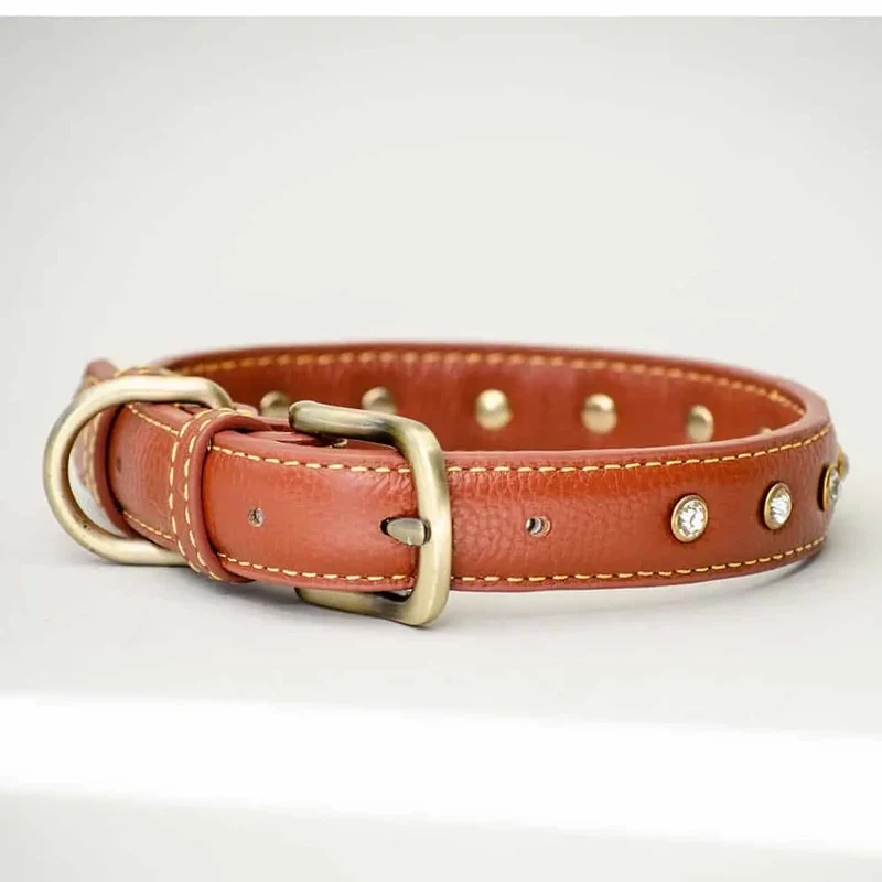 Leder-Hundehalsband "Diamond Petit" - Brown