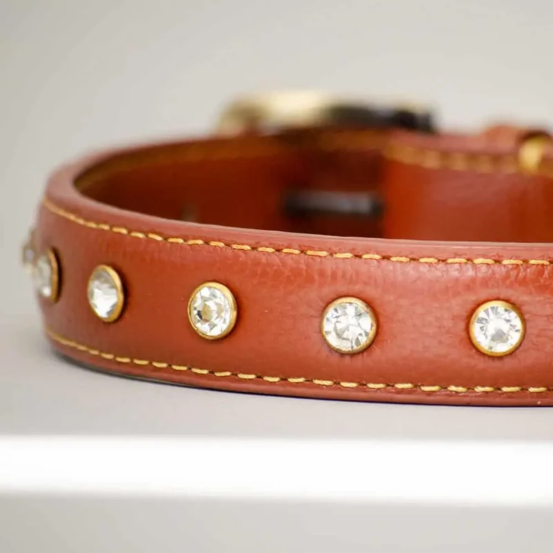 Leder-Hundehalsband "Diamond Petit" - Brown
