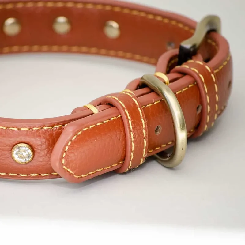 Leder-Hundehalsband "Diamond Petit" - Brown