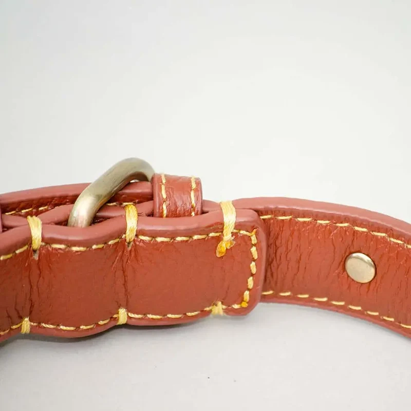 Leder-Hundehalsband "Diamond Petit" - Brown