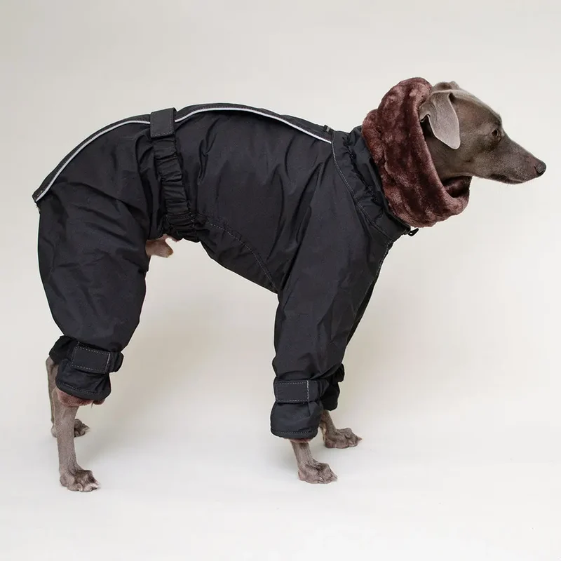 Kelly IG Snow - Hundeoverall - schwarz - SDW