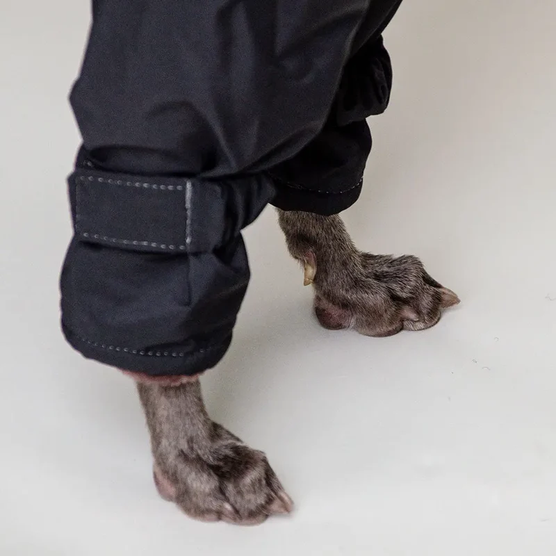 Kelly IG Snow - Hundeoverall - schwarz - SDW