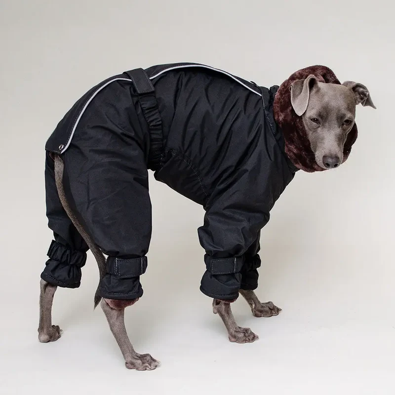 Kelly IG Snow - Hundeoverall - schwarz - SDW
