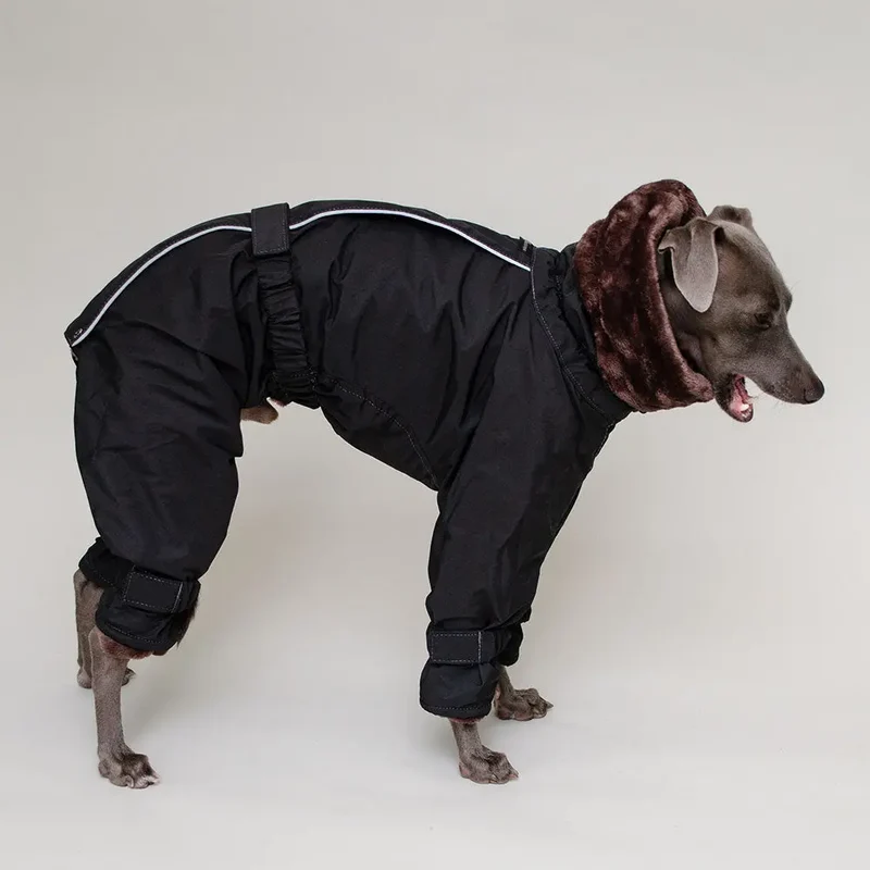 Kelly IG Snow - Hundeoverall - schwarz - SDW