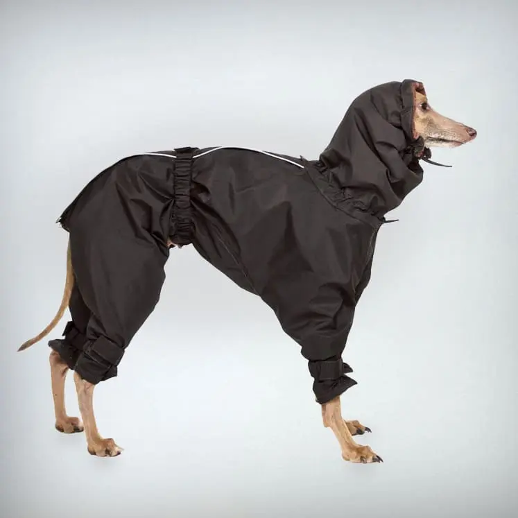 Kelly IG Snow - Hundeoverall - schwarz - SDW