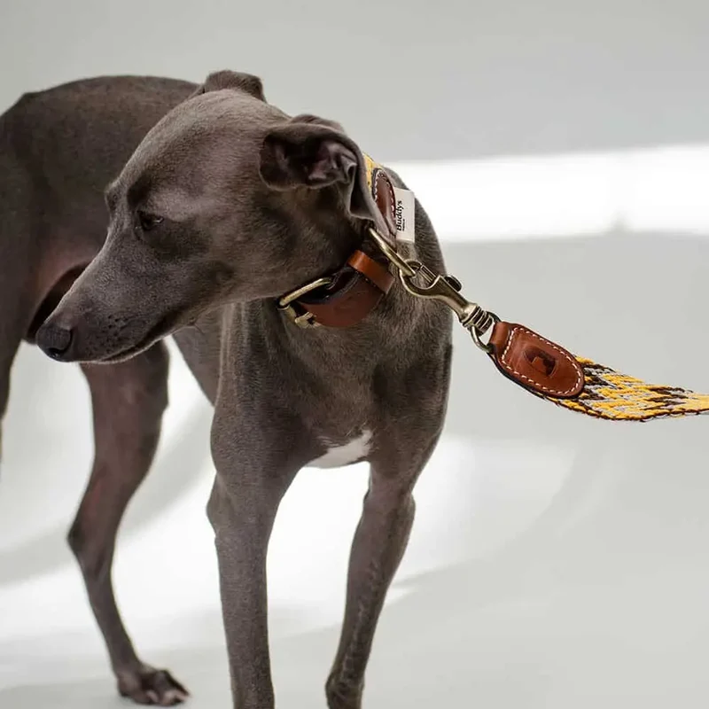 Hundeleine im Boho-Style - "Yellow zikzag leash" - Buddys