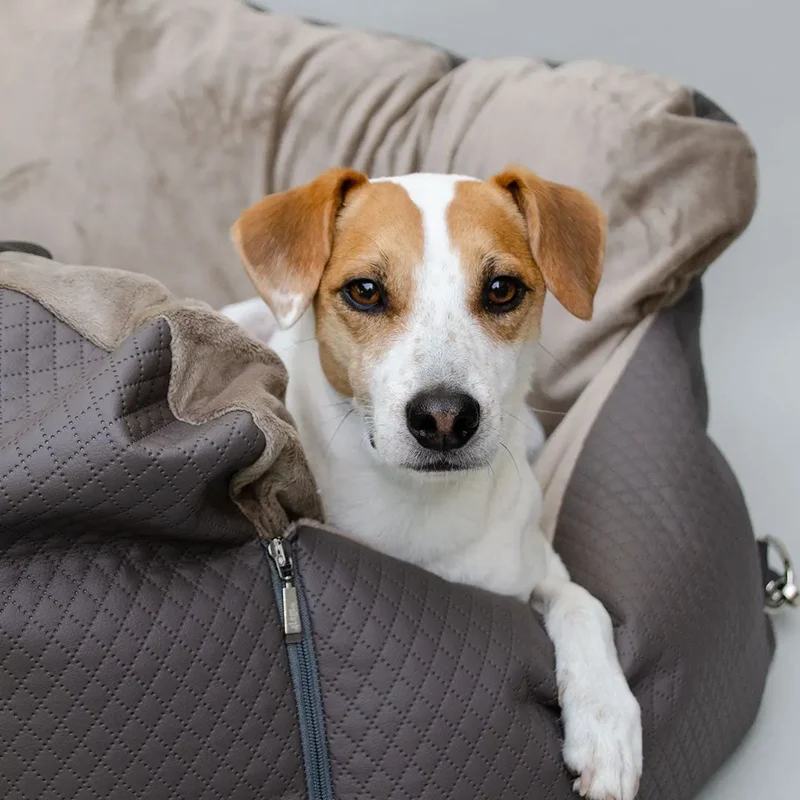 Hundeautositz „Deluxe Creme" – XXL