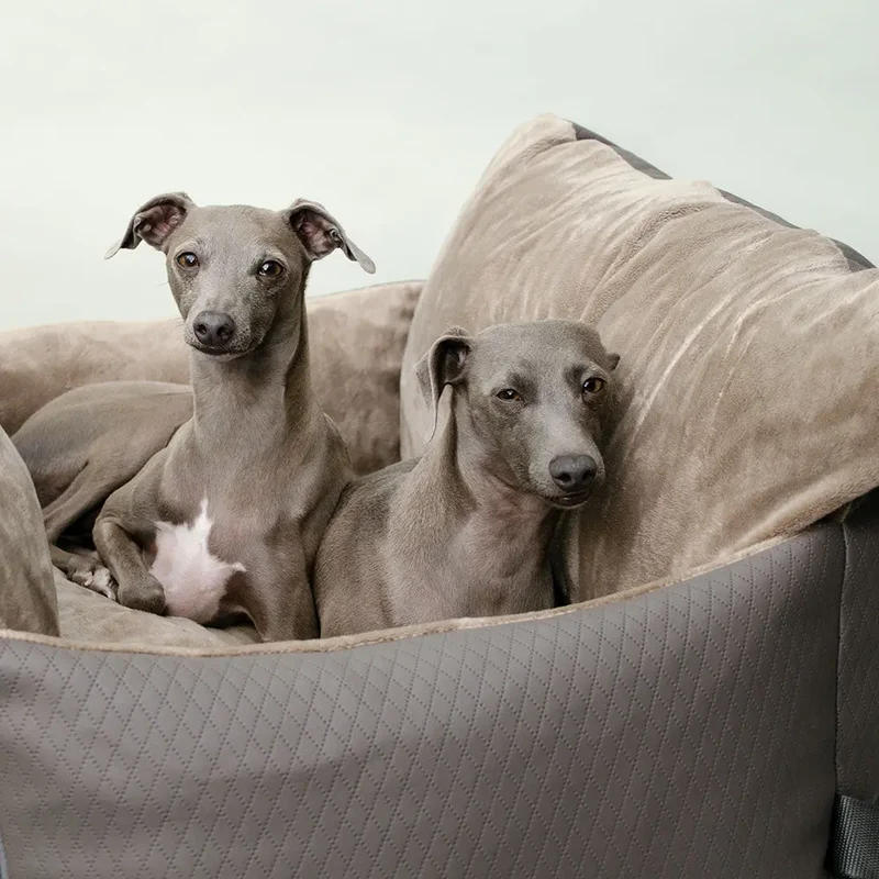 Hundeautositz „Deluxe Creme" – XXL