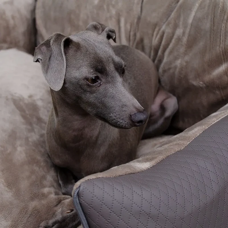 Hundeautositz „Deluxe Creme" – XXL