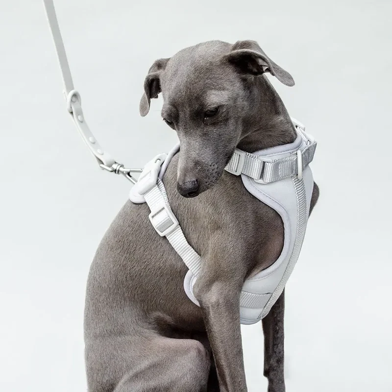 Hundeleine - "Soft & Safe" - silber