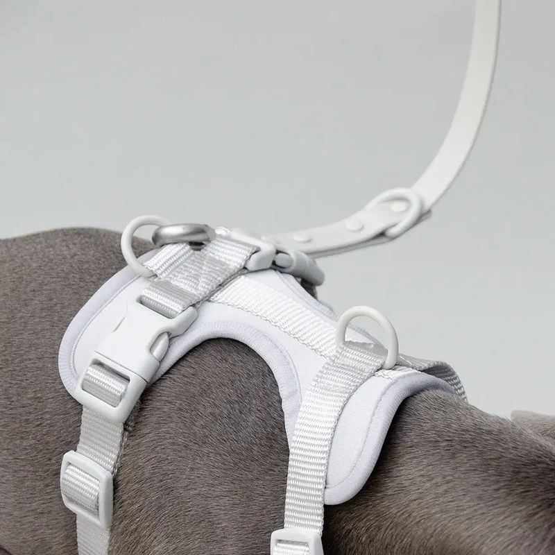Hundeleine - "Soft & Safe" - silber