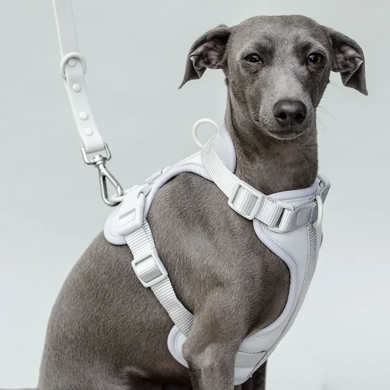 Hundeleine - "Soft & Safe" - silber