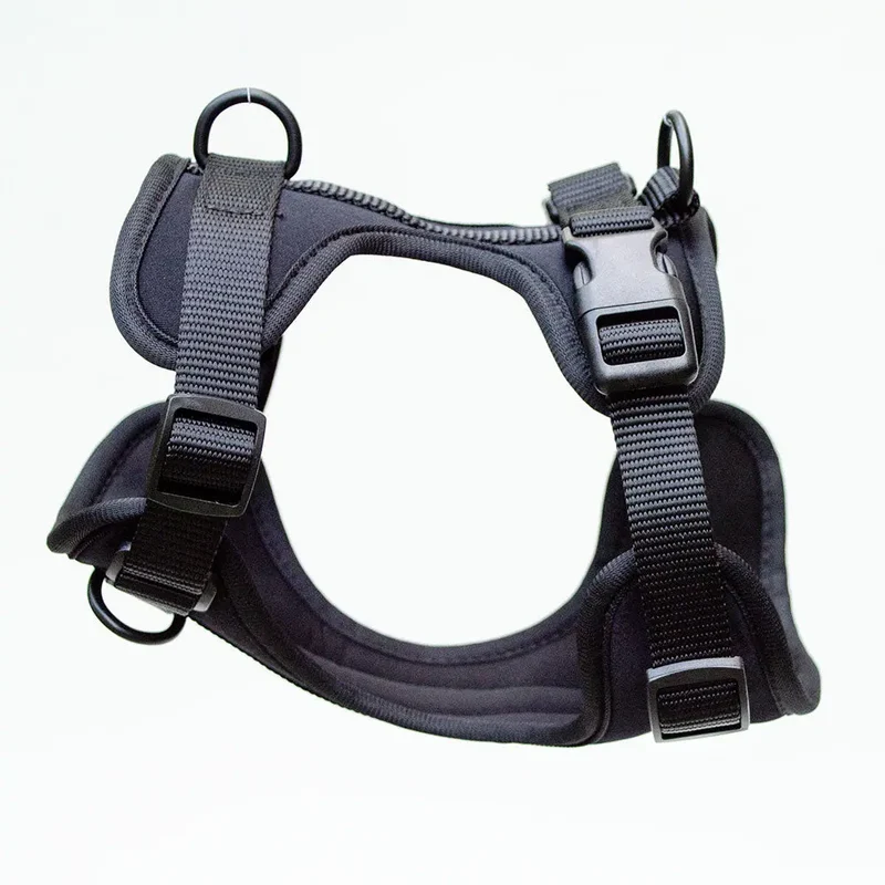 Hundegeschirr - "Soft & Safe" Black