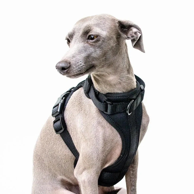 Hundegeschirr - "Soft & Safe" Black