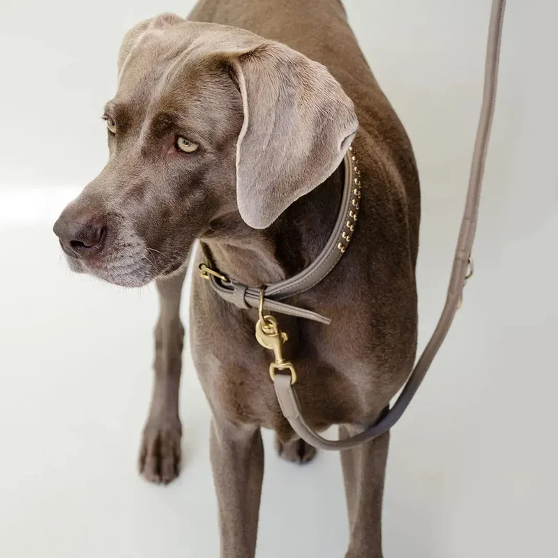 Hundeleine aus Nappaleder "Rolled Nappa" - taupe