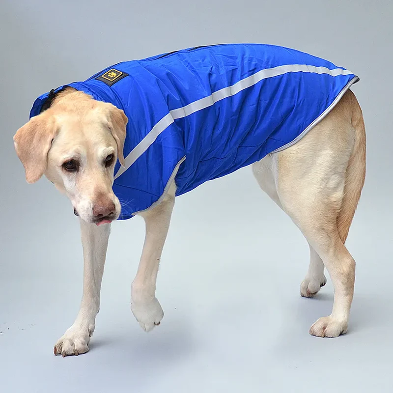 Hundejacke für große Hunde "big dog" - blau