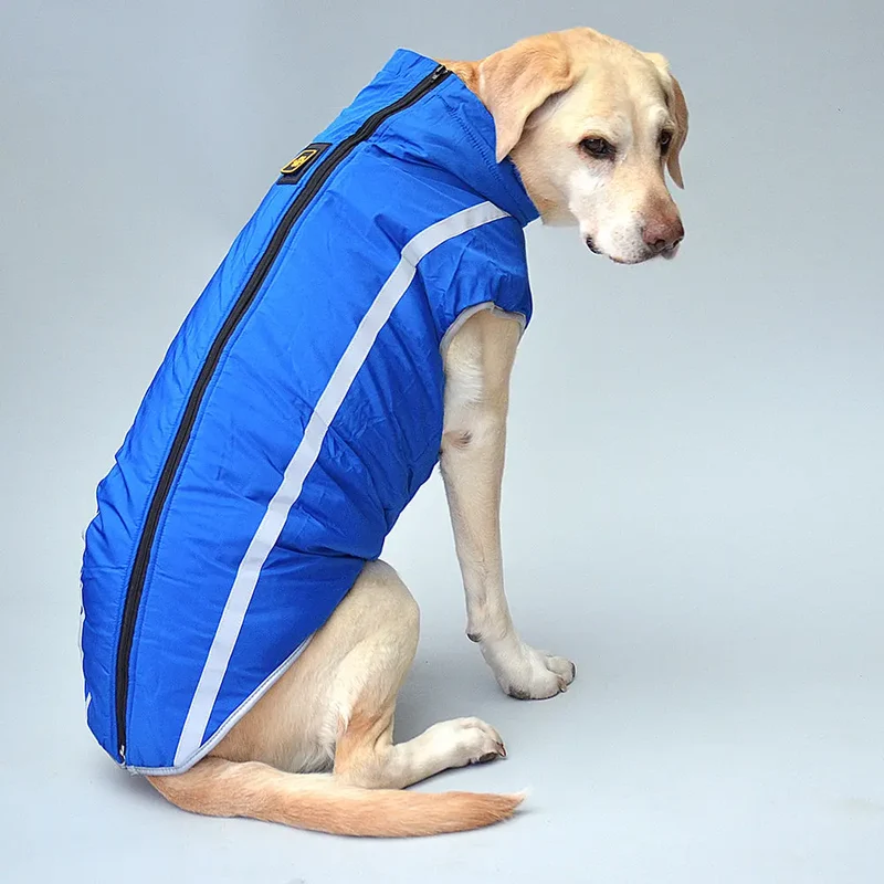 Hundejacke für große Hunde "big dog" - blau