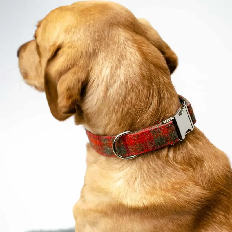 Hundehalsband Grace - Harris Tweed
