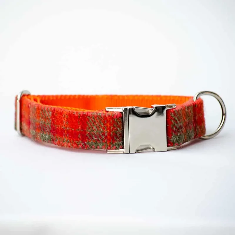 Hundehalsband Grace - Harris Tweed