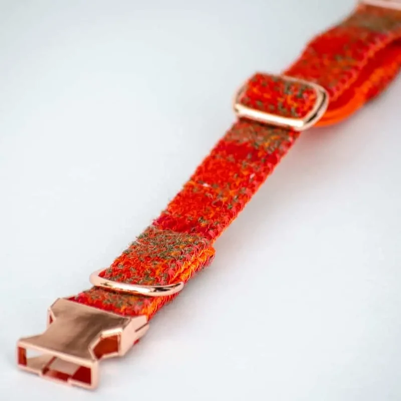 Hundehalsband Grace - Harris Tweed