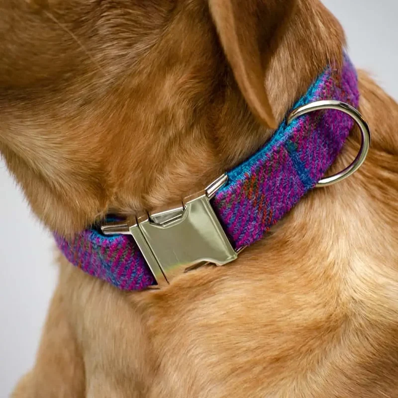 Hundehalsband Diana - Harris Tweed