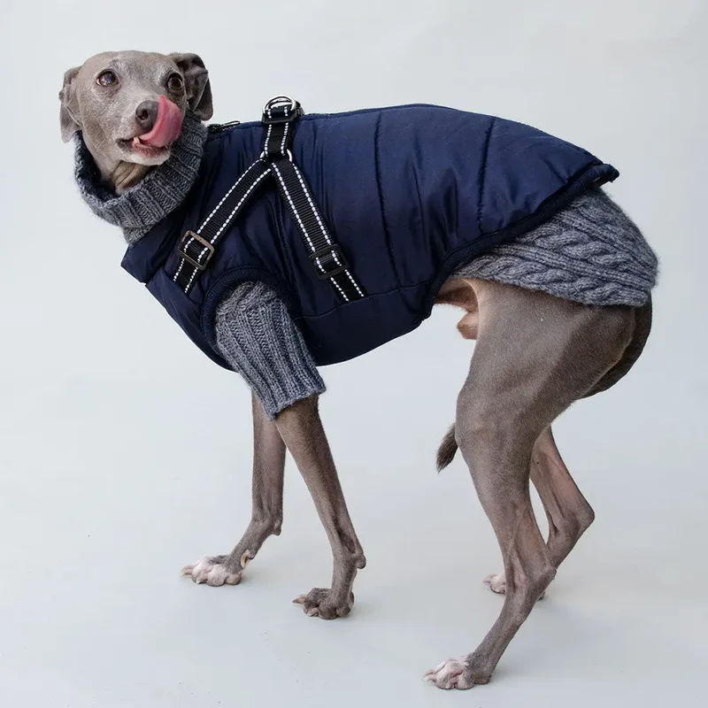 Hunde Sportswear Jacke - dunkelblauj