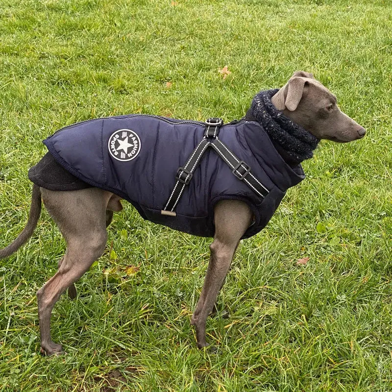 Hunde Sportswear Jacke - dunkelblauj