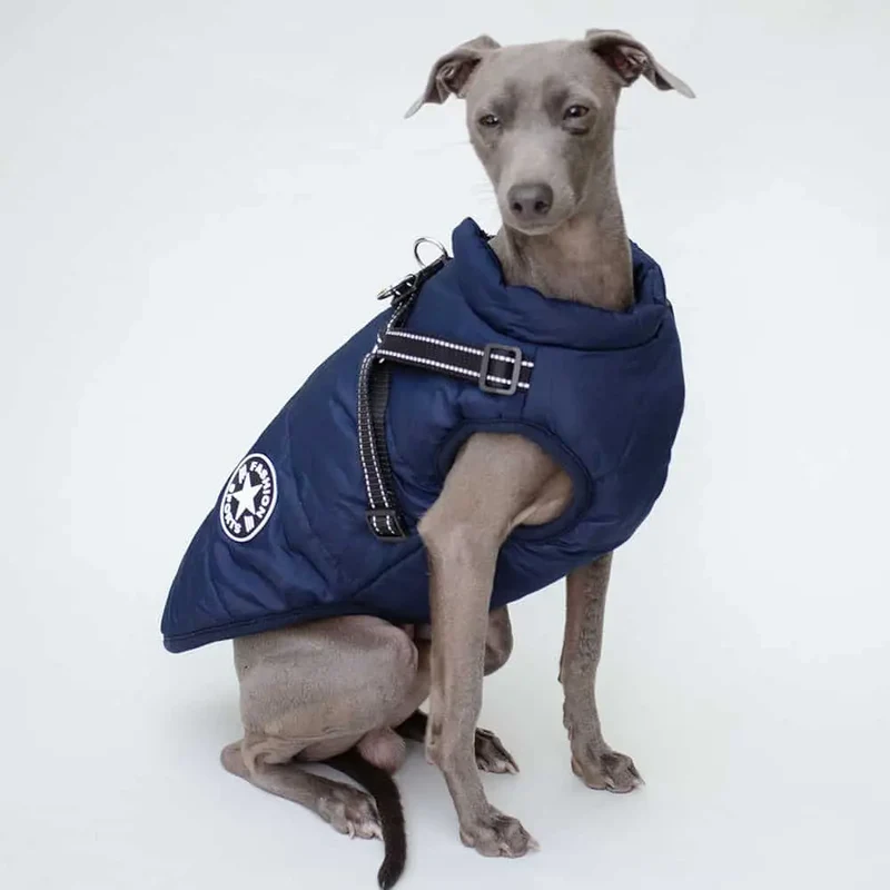 Hunde Sportswear Jacke - dunkelblauj