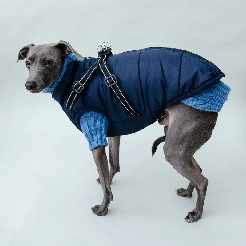 Hunde Sportswear Jacke - dunkelblauj