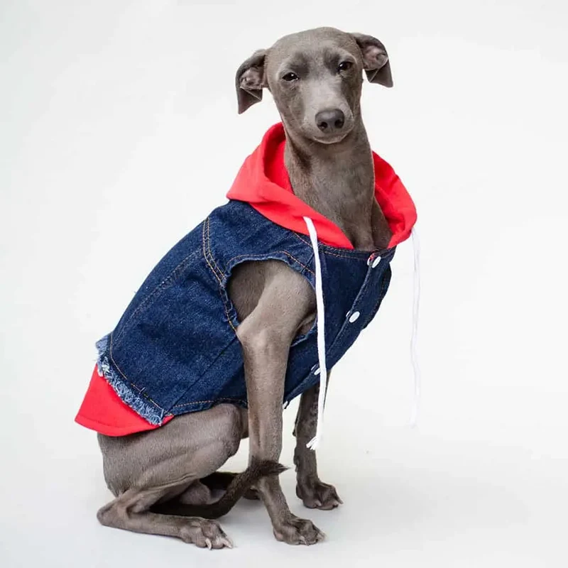 Hunde Jeansjacke mit Sweatshirt Details "Jeans-Hoodie red"