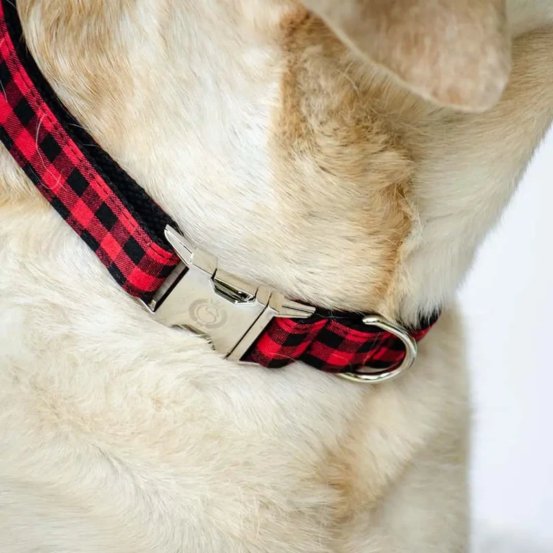 Holzfäller Hundehalsband „Buffalo“