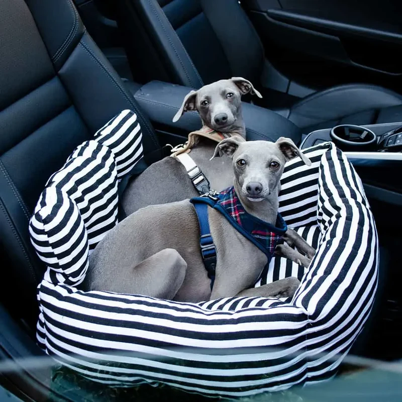 Hundegeschirr mit Leine - "Highland" - blau